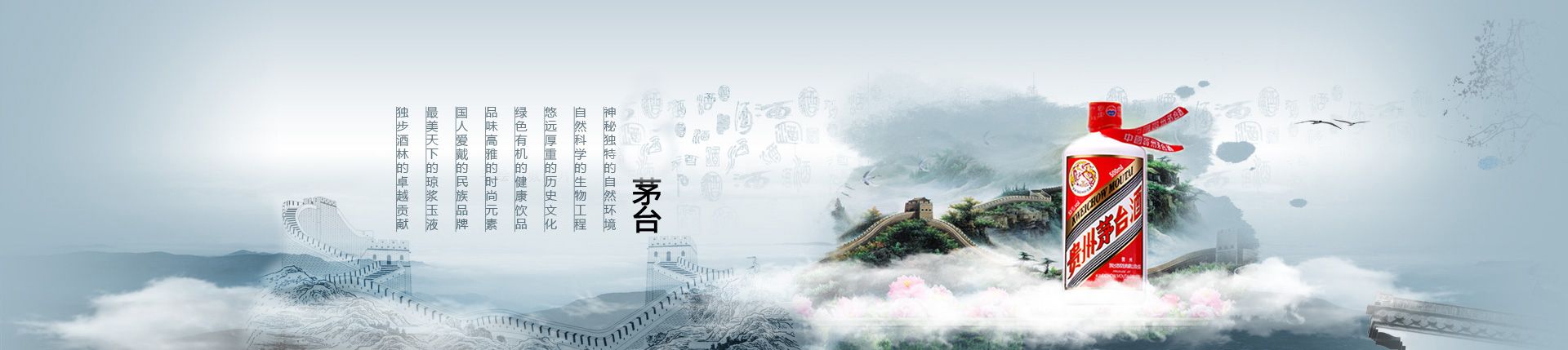 天鹅代理